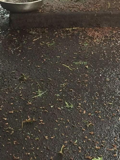 南门桥菜市场最新爆料,最新爆料揭秘市场新面貌